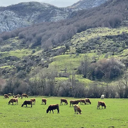 Monte Roblo בית נופש Salamon
