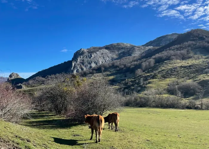 Vakantiehuis Monte Roblo